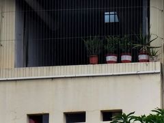 -厦门大西洋天虹百货商场