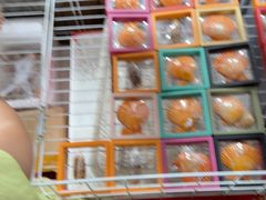 -蓝湾碧波·老字号·疍家非遗海上餐厅