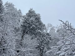 -龙苍沟森林公园