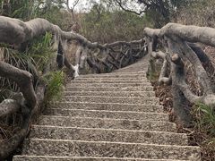 -梧桐山风景名胜区