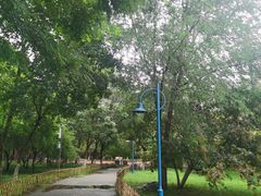-丰台科技园生态主题公园