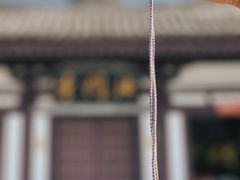 -法门文化景区