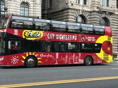 -BUS TOUR观光巴士