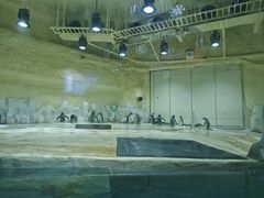 -威海华夏城景区