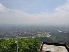 -风云岭森林公园
