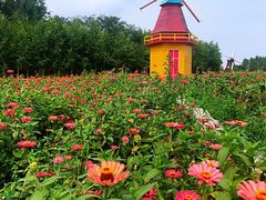 -北纬44度·金珠花海休闲农业旅游景区