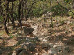 -鹫峰国家森林公园