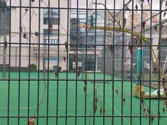 -上海对外经贸大学(古北校区)