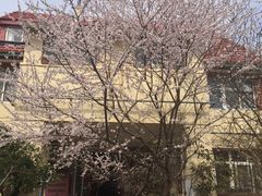 -杰克·肯特厨房西餐厅
