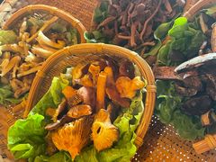 -滇野云南野生菌餐厅(陕西南路店)