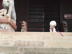 -七曲山风景区