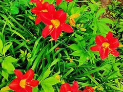 -国家植物园南园