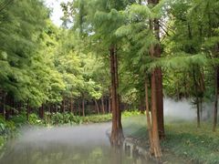 -尚湖风景区