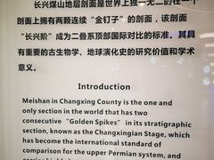 -金钉子远古世界景区
