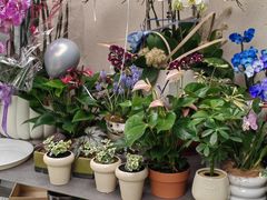 -紫荆广场·花漫里