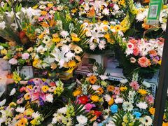 -花鸟鱼虫鲜花绿植市场(玉泉路店)