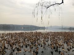 -杭州花家山庄