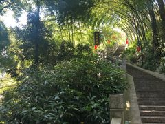 -国生茶庄·地道农家菜团建活动