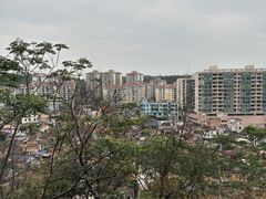 -佛山华盖山公园