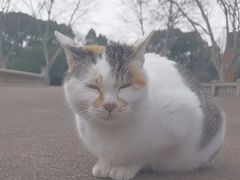 -蠡湖中央公园