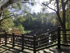 -常德桃花源景区
