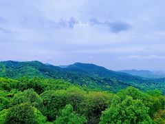 -中国茶叶博物馆(双峰馆区)