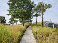 -福田红树林生态公园