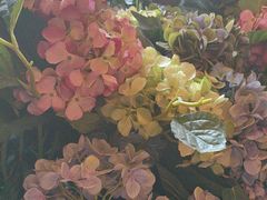 -八府香鸭·啫啫煲(华山路店)