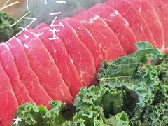 -花菇朵·云山雀 ll 野生菌锅·野果酸汤·精品滇菜(万柳店)