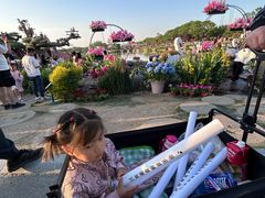 -荷兰花海