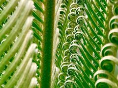 景点-艾溪湖湿地公园