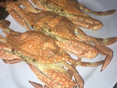-拉威海鲜市场