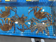 水产区-青岛蓝海大饭店·渔歌舫(李沧店)