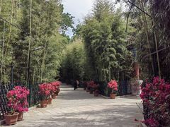 -红螺寺