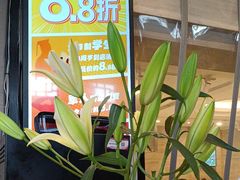 -眉州东坡(团结湖店)