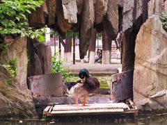 -山东大学(趵突泉校区)