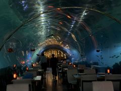 -海棠湾洲际-涛·海底餐厅·美人鱼·自助餐·海底隧道