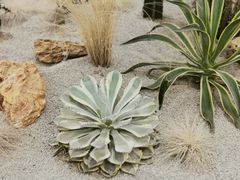 -OUR Bakery(SKP-S店)