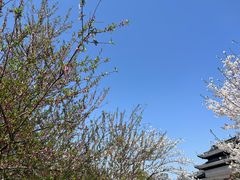 -苏州上方山国家森林公园