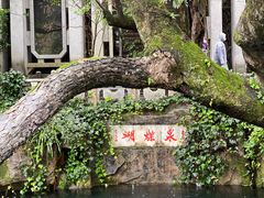 -蝴蝶泉公园