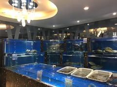大堂-大铁勺酒楼(宾水西道店)