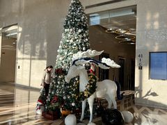 -连云港苏宁索菲特酒店