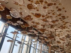 大堂-视界美食自助餐厅·石家庄希尔顿酒店