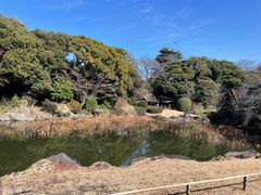 -东京国立博物馆
