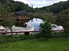 -神光山国家森林公园