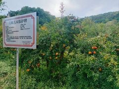 -涂山风景区
