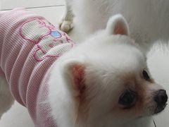-怪兽屋·羊驼·猫咖·狗咖(俊华广场店)