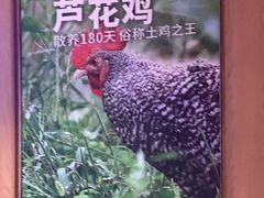 -俭寨大盘芦花土鸡·小公鸡·烧烤新疆菜(云通店)