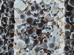 -南越王博物院(王宫展区)