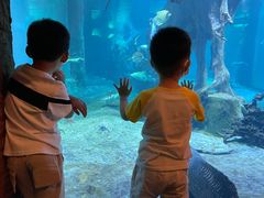 -华夏文旅海洋公园